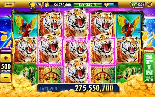 Big Bonus Slots – Free Las Vegas Casino Slot Game 1.55.4 7
