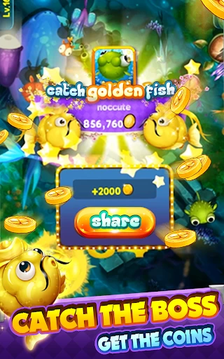 iFish 8168 3