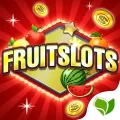 Slot Machines Casino 1.3.0 IOS