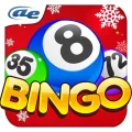 AE Bingo: Offline Bingo Games 1.0.0.7 APK