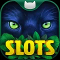 Slots on Tour: Wild HD Casino 2.7.0 IOS