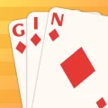 Gin Rummy Pro APK