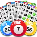 Bingo 2.3.41 APK