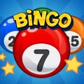 Bingo™ 3.3.9g APK