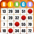 Bingo – Play Free Bingo Games Offline or Online 2.05.002 APK
