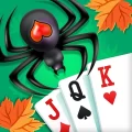 Classic Spider Solitaire-Free Solitaire Card Games 1.8.1 APK