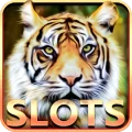Slot Machine: Wild Cats 1.9 APK