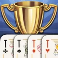 Throw-in Durak: Championship 1.10.5.339 APK