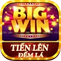 Tien len dem la – TLDL – Poker 210.6 APK