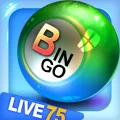 Bingo City 75: Free Bingo & Vegas Slots 12.81 APK