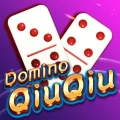 Domino QiuQiu Gaple Catur Texas Online Koin Gratis 1.2.6.0 APK