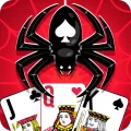Spider Solitaire : free card game 17 APK