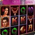 Magic Roses