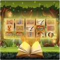 Mystic Book Slot