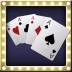 World Video Poker King