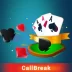 Callbreak Online Multiplayer