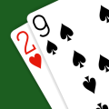 29 Card Game – Expert AI