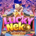 Lucky Neko