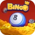 Bingo Pro:Crazy Game