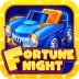 Fortune Night Slots