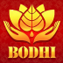 TeenPatti Bodhi