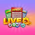 Live Q Bingo