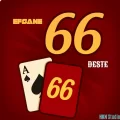 66 Kart Oyunu
